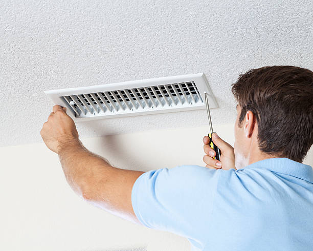 Trusted Warm Springs, CA Mold Removal Experts